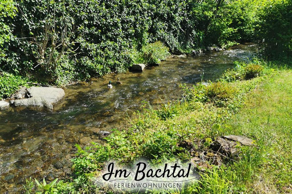 Ferienwohnung Im Bachtal Pommern Bagian luar foto
